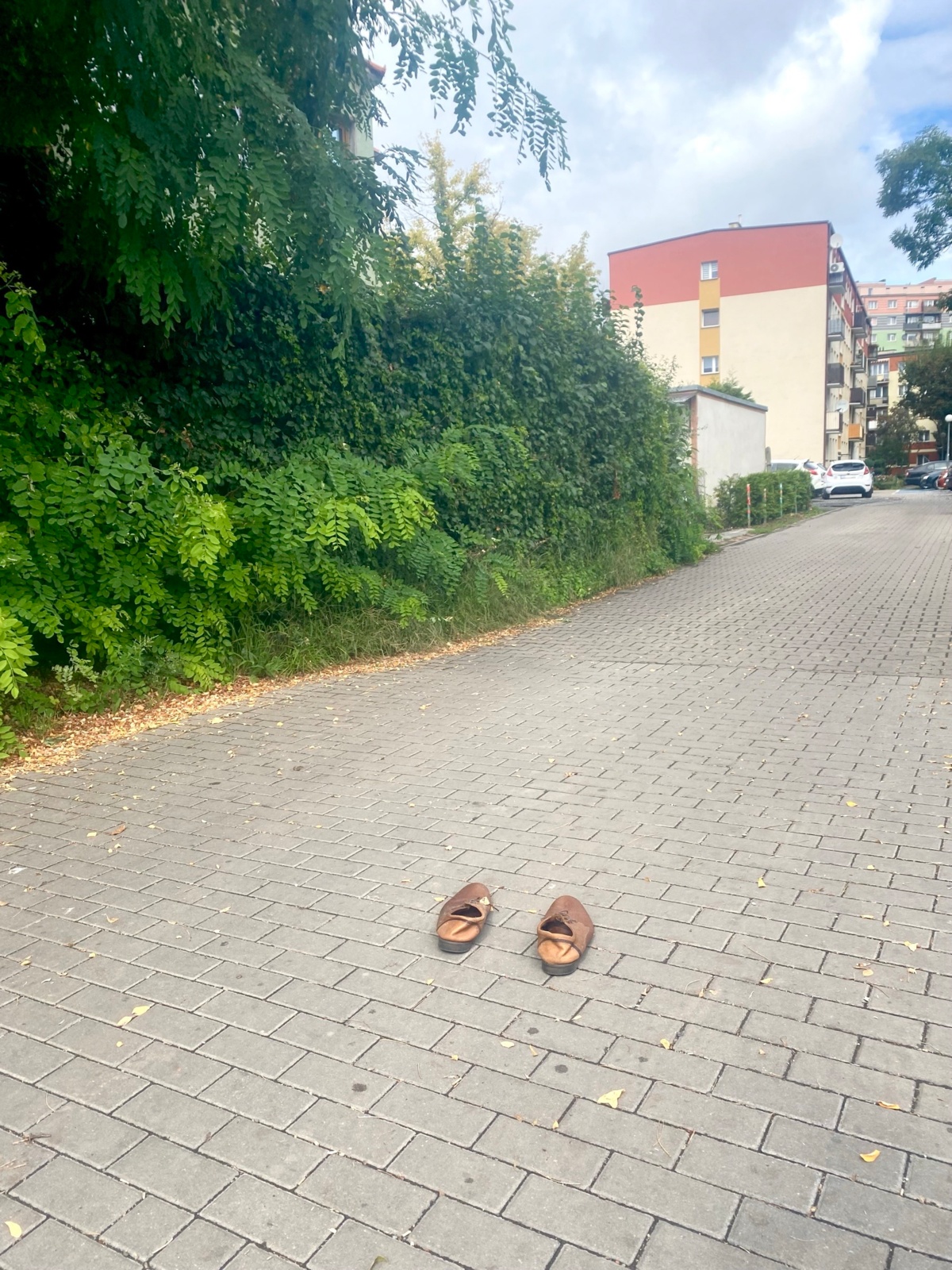 08b7e3dd-05ab-4cc8-8aff-a32e3c7cfc54