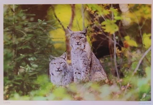 dcc04678-4097-45c0-8f5b-43a4e4fc755c