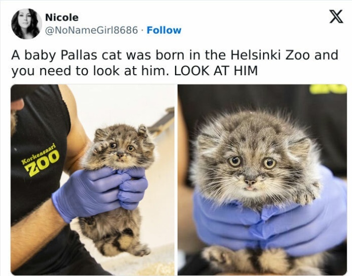 779f6c4d-4390-45e0-ba42-8e51ecf1a926