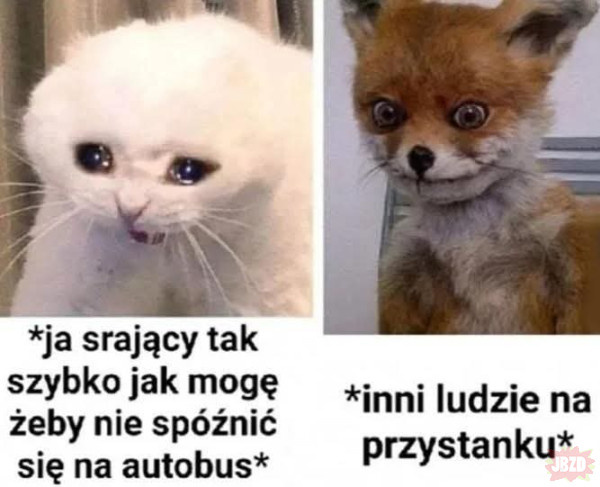 33089e63-4cd0-4dda-a62b-7f4250b3e3a2