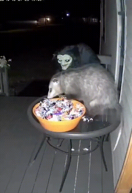 086b5214-8222-4cfe-a4cf-668845902fb0