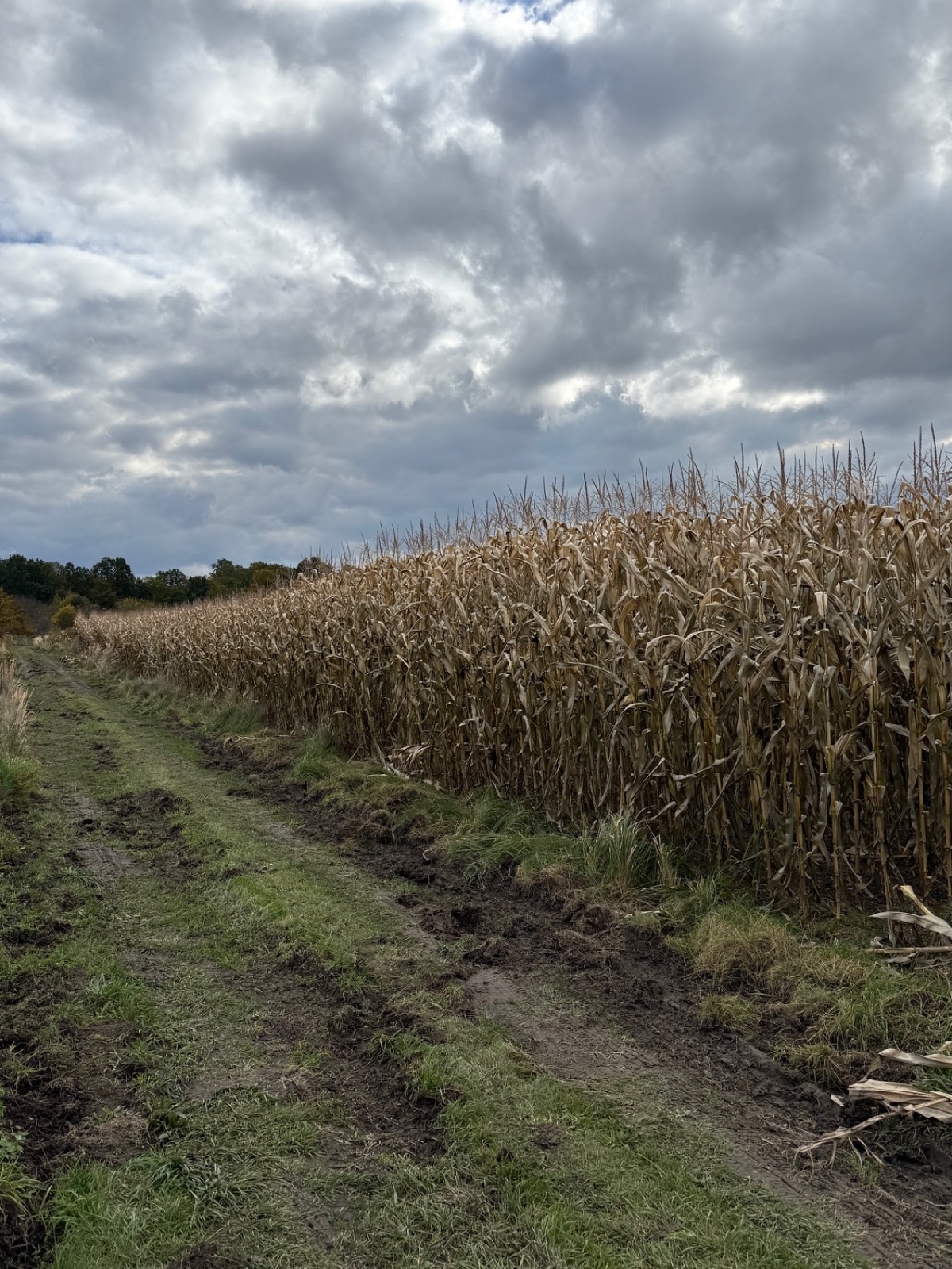 ac06e422-6369-4517-90f3-368637b98bd1