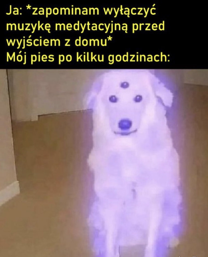 1242233e-98d2-4204-8595-ff31c554e715