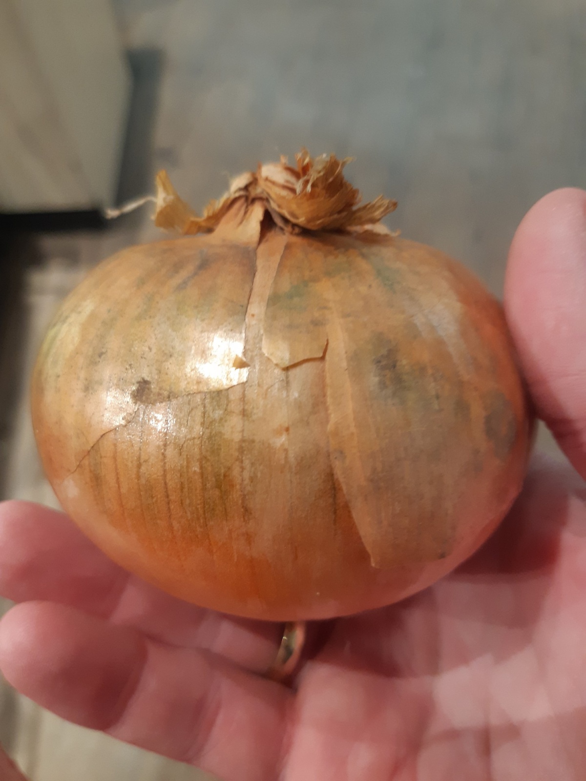 5314be7a-3a6f-403d-adc5-c733d7665f45