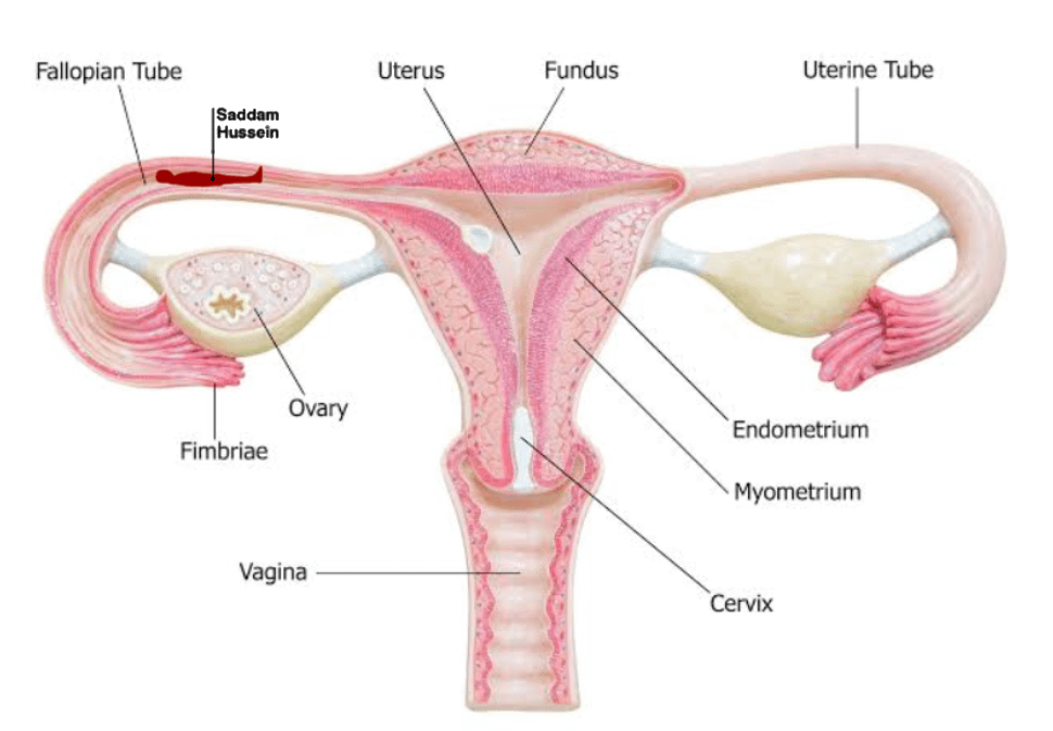 8b38908c-f240-4e17-ac44-e08ca3afa9d2