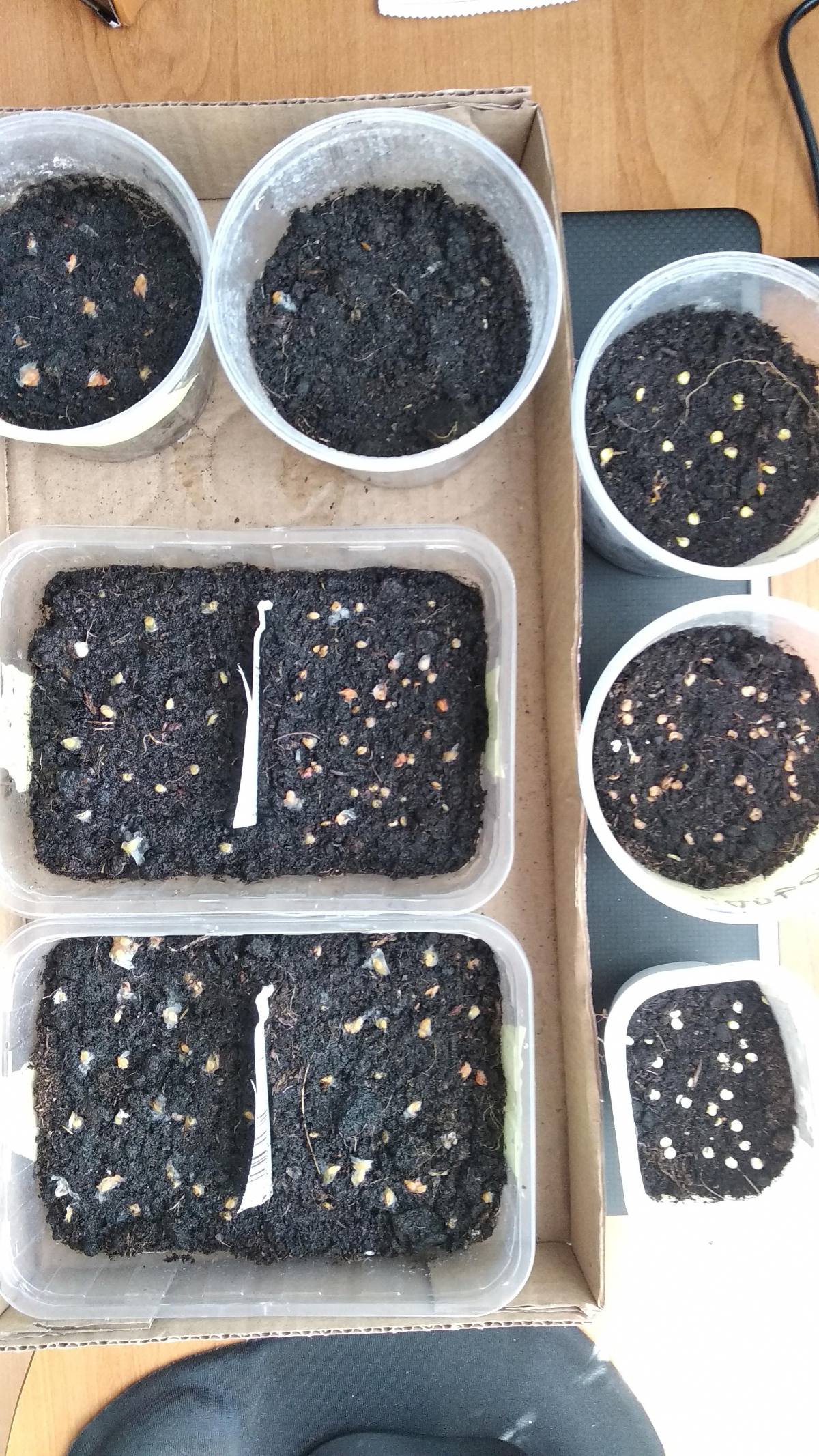 39dce3c0-612e-4d81-8e85-07191313f120