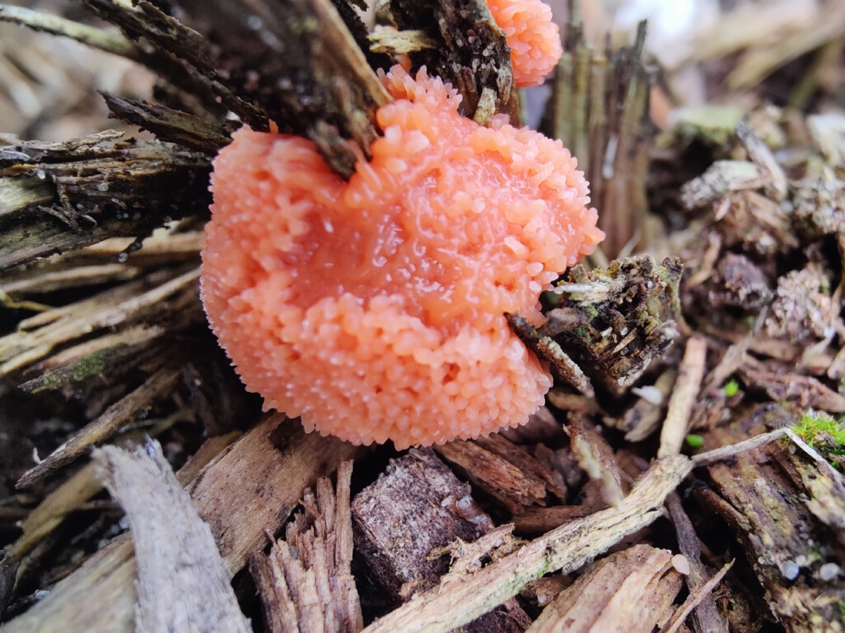 97e92ad5-274c-4443-89f7-34e90e75d1aa