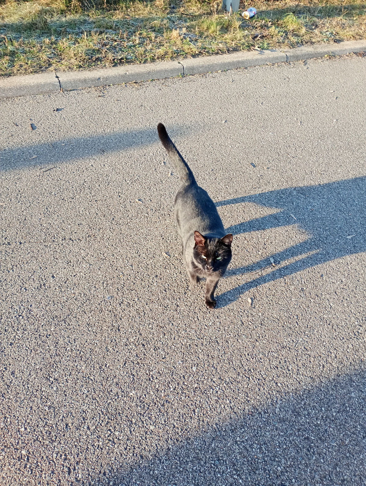 2bca8504-01a0-4389-bdc0-9fdd8a14efb1