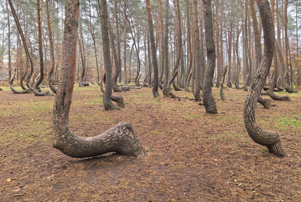 67b440c8-fa5f-4fa3-bd57-ca5775ef937a