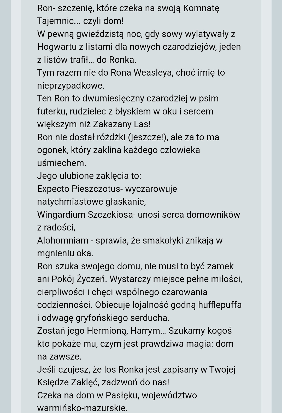 1aa8d91b-0d33-4d65-9497-ede3397a8d8b