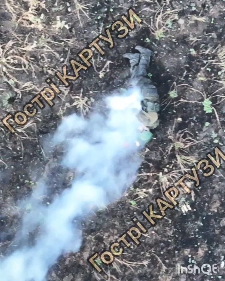 b3a7d7a3-fe26-4fcd-a527-8877a6323a3d