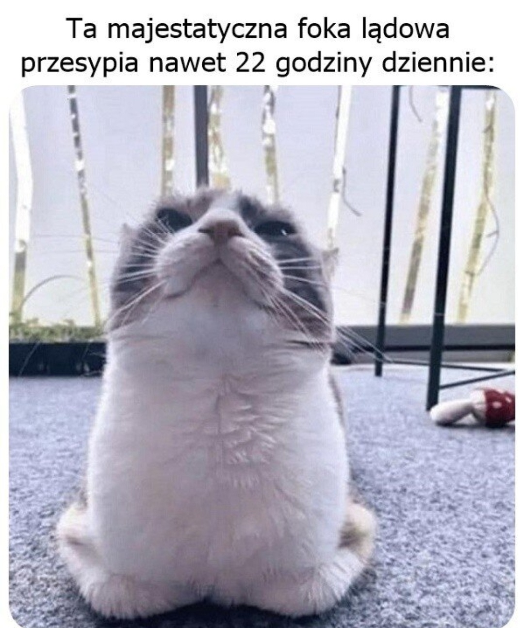 398ba860-e8d6-4eb1-92b6-235fc8452133