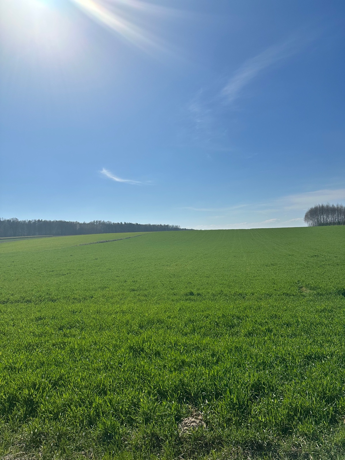 1ddfa086-a87d-42bd-b8fa-d43659083fb8