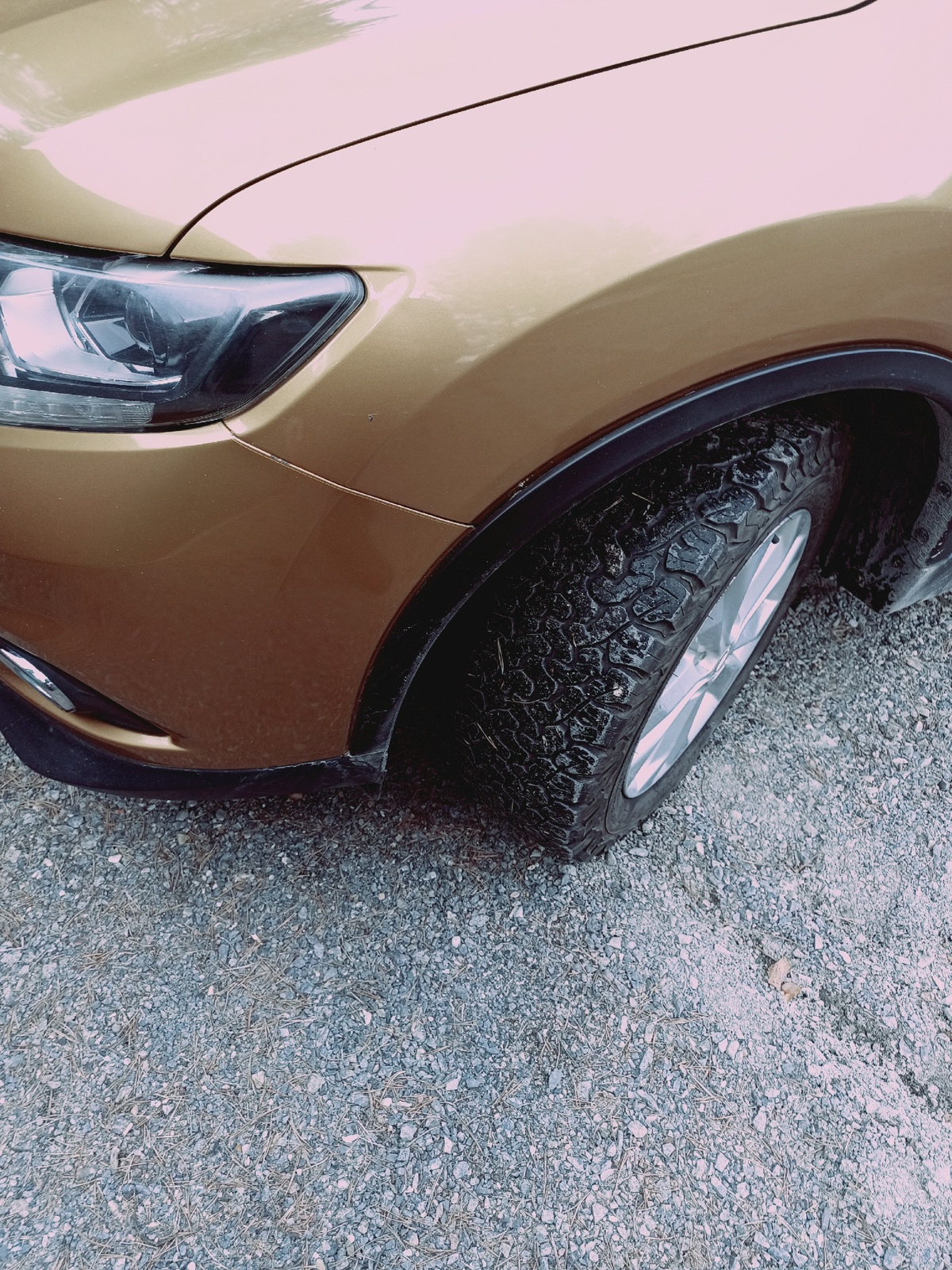 45b5690a-555b-41cb-bf69-b43bb39a3c8a