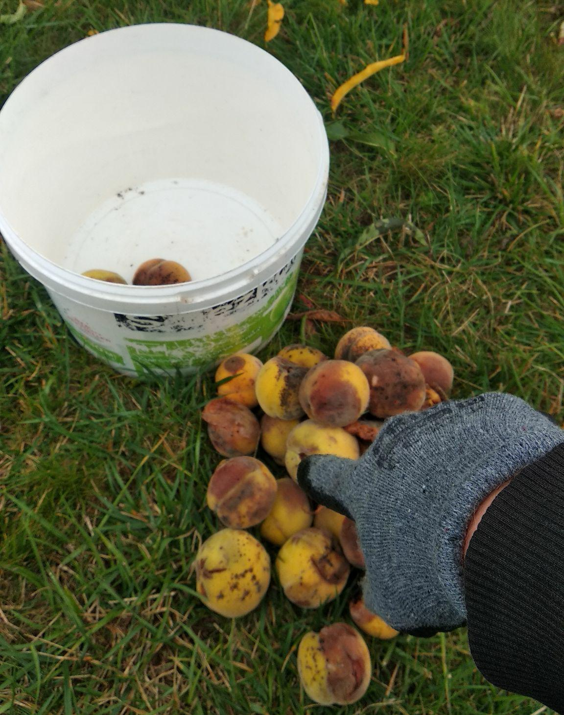 7fc1daa0-b9f6-4431-a290-fe992de94909