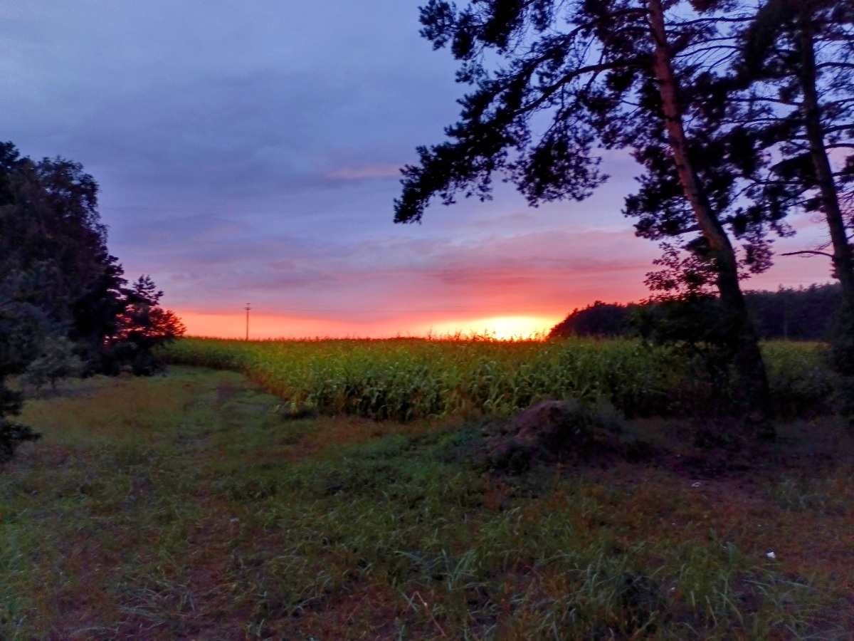 d301560c-5898-462f-87de-3d6c2e993b26