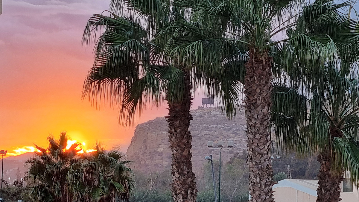 0d8b8d1e-7661-46b4-ba82-d46e2b8d80bb