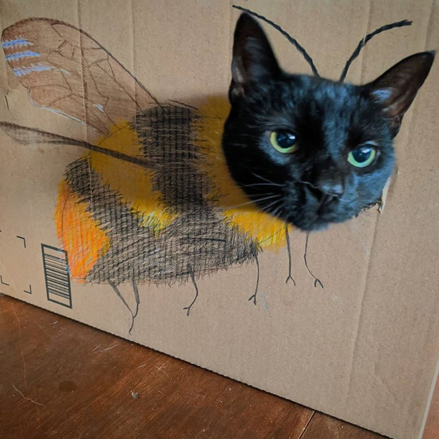 b039ec3d-a54f-4c59-a121-773712691724