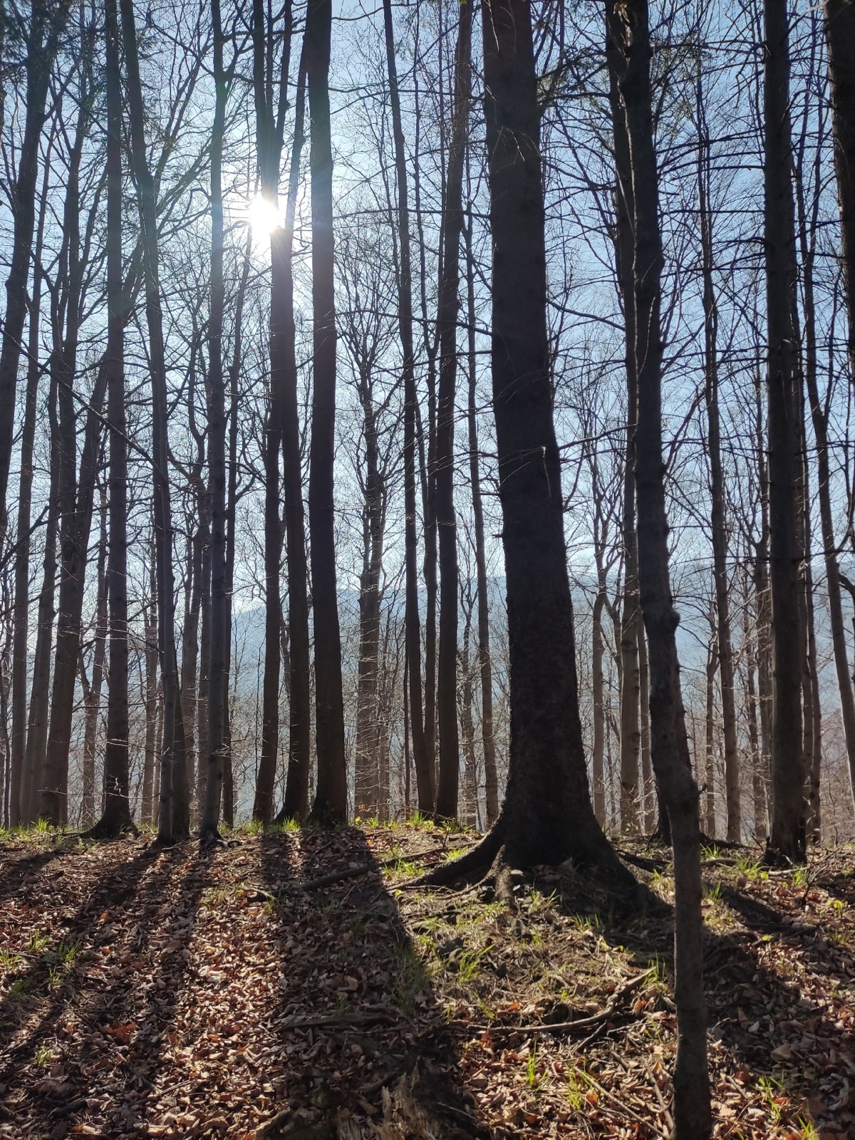 8019aea2-cf10-4ec7-a65c-ea84f70dc139