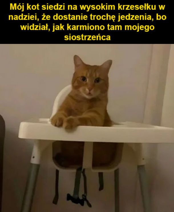 62b722f0-e9b6-4503-9af5-80adc02a92c0