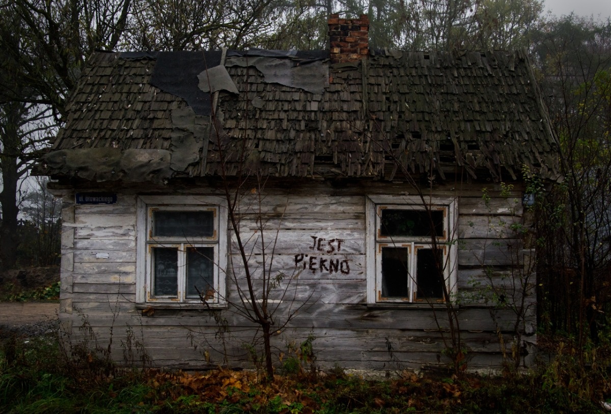 cb607889-15f7-4c40-a256-69f07cd8a3cf