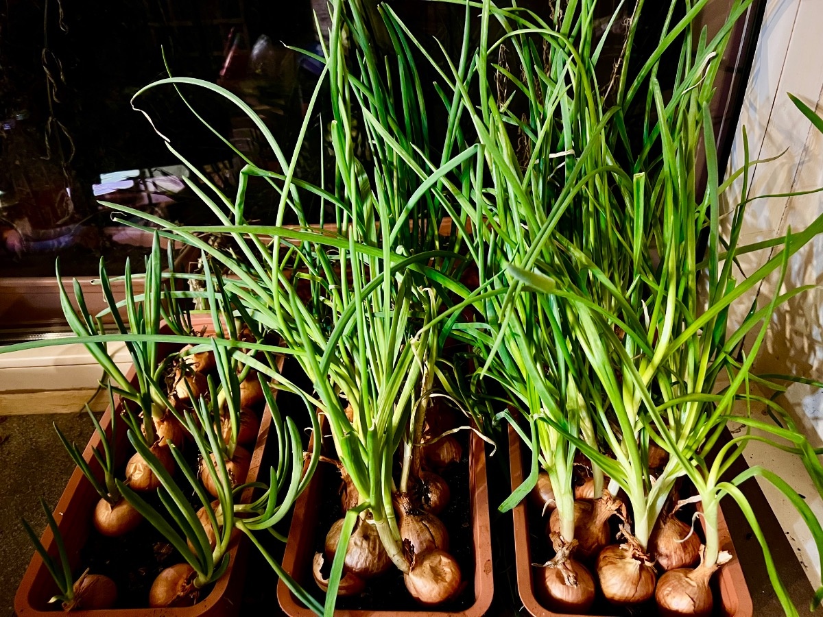 9443bb81-c4ce-429b-bb36-ef9152a47e04