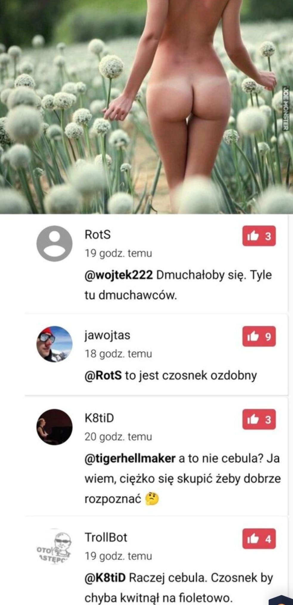 85b019c2-71b5-4e2b-bc29-ad2de5c38502