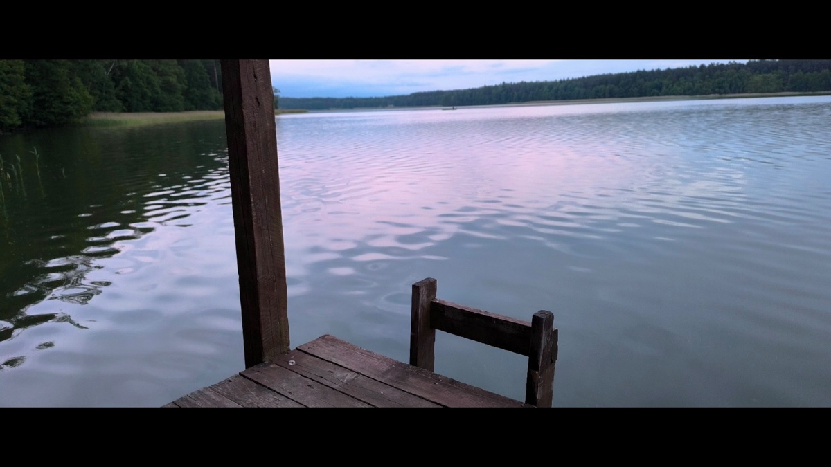 d9f08b44-f522-4d16-935d-bed6251e2447