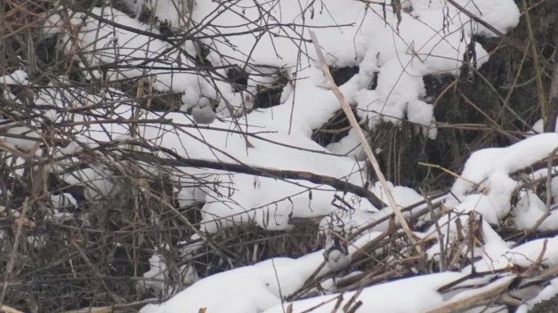 adc791e8-3a9c-4f25-916c-c0afb970a93e