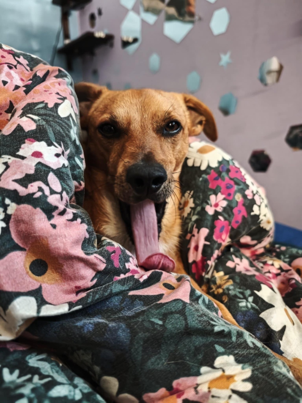 de7042f0-33b6-45bb-808b-89f2e9e0b6a1