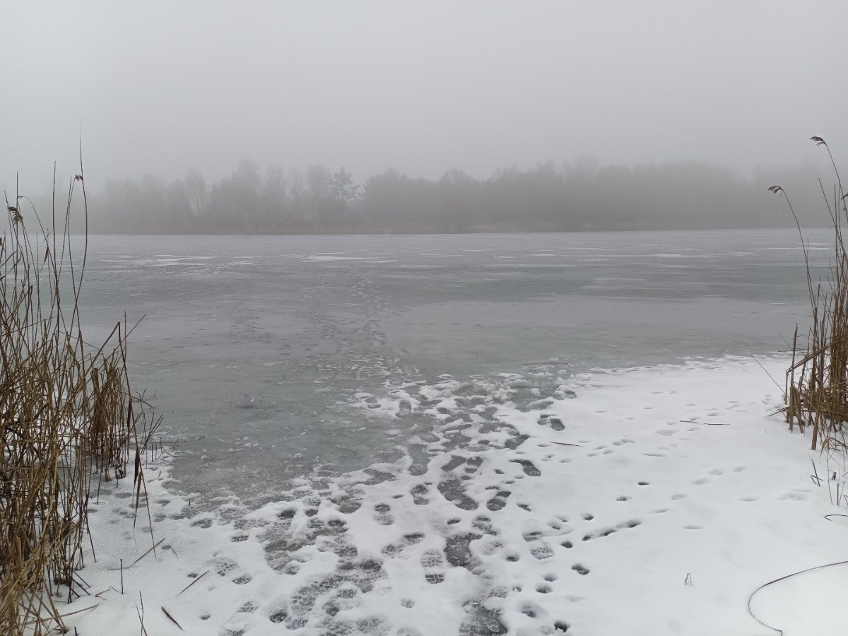 f9e11299-c764-4aa1-8ffa-04a97c163b94