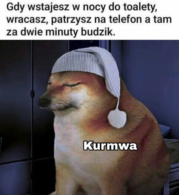 1e46ae67-652e-47fa-a55b-c0baa822ad3e