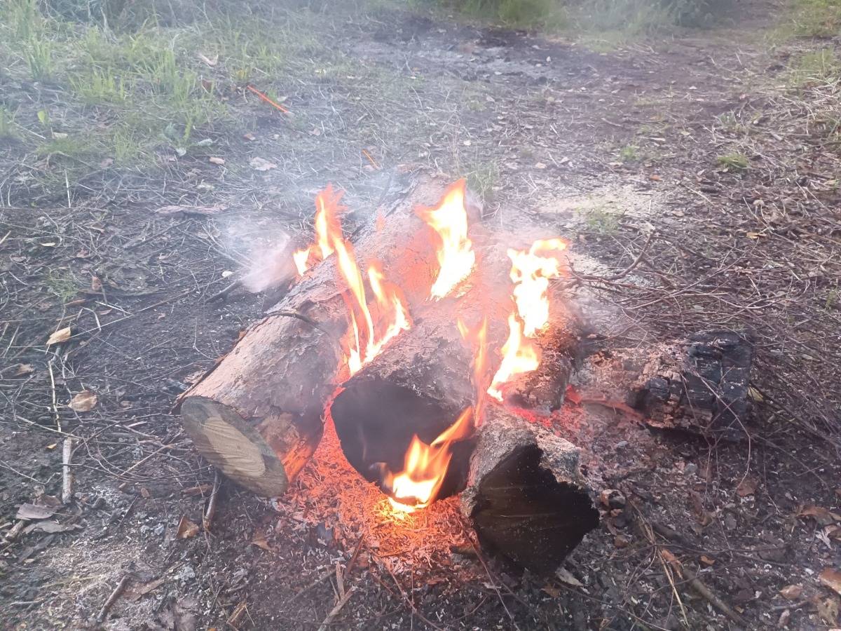 880c48b8-1dce-4e7f-a7ef-a4720f4f7376