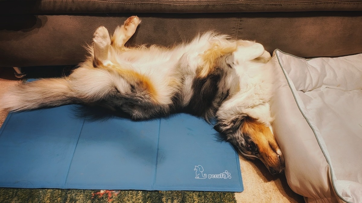 679b953d-8d2c-46fe-8e40-7a952185f348