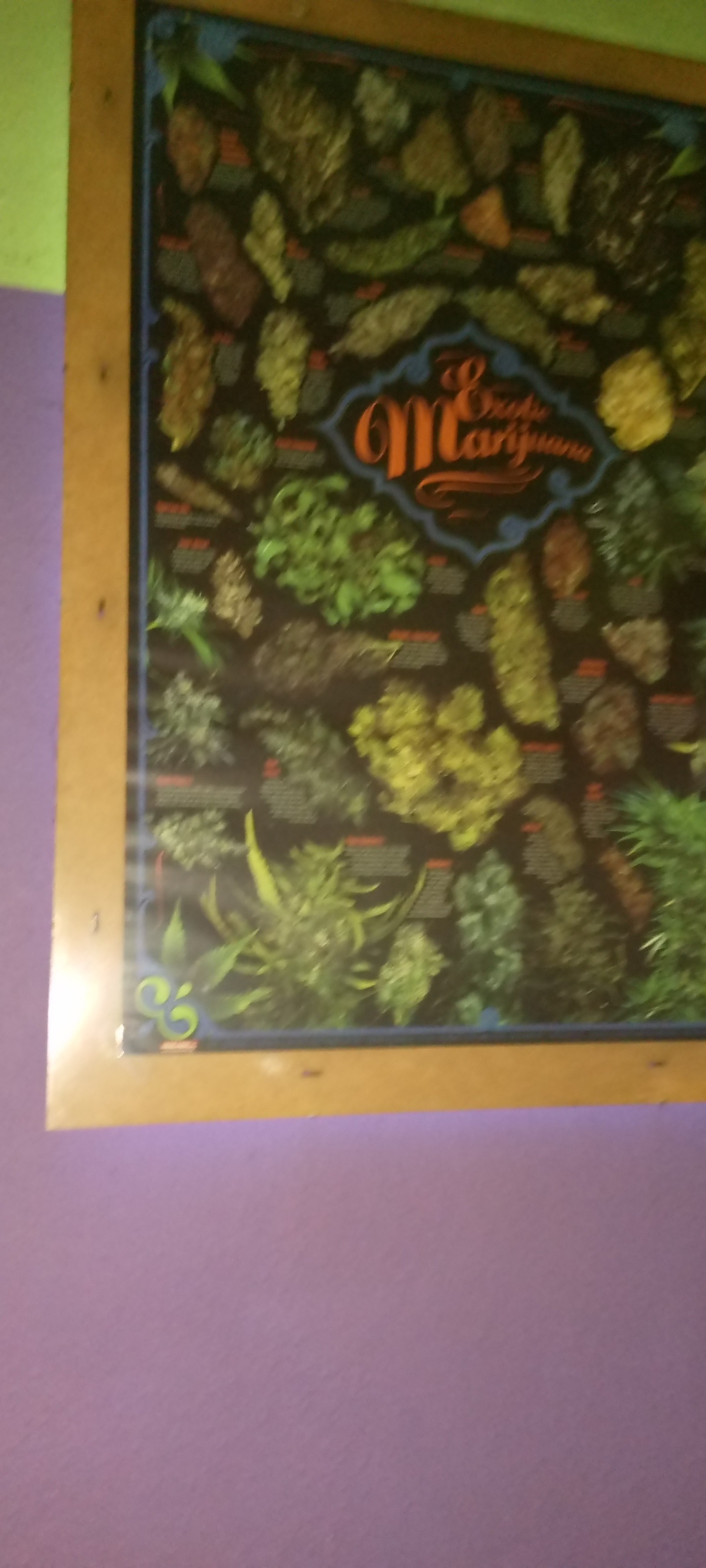 3fdc8560-9d5e-42a0-9131-6c1bc493fef7