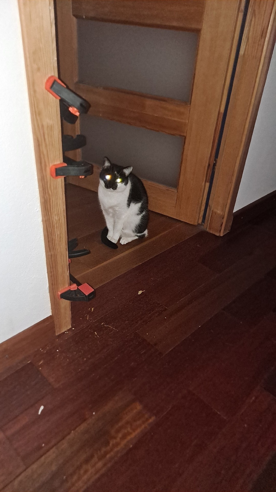 d941ee4c-3aab-4250-ba44-dc58c792c87f