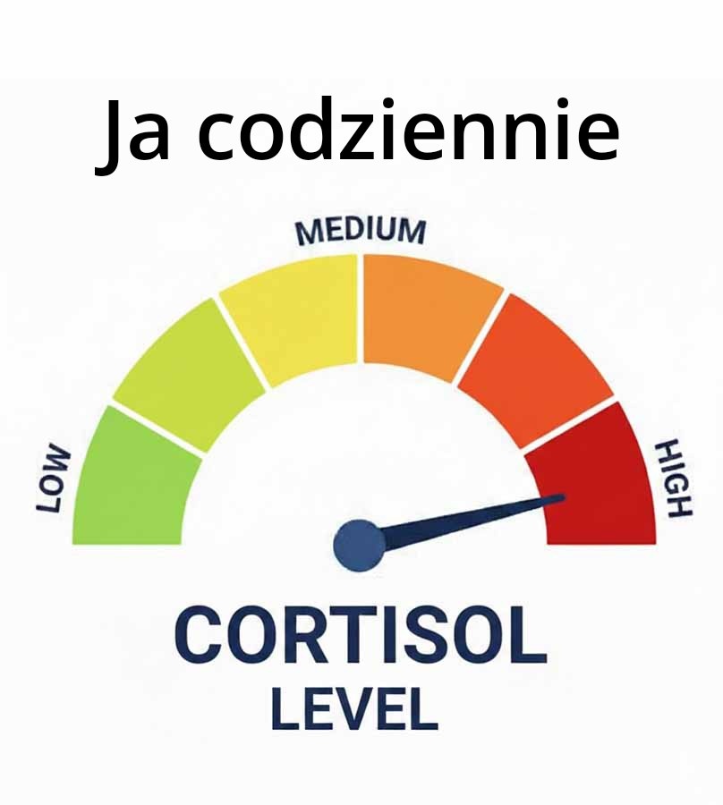 594bad20-c608-41a8-a56b-9ee6e257b851