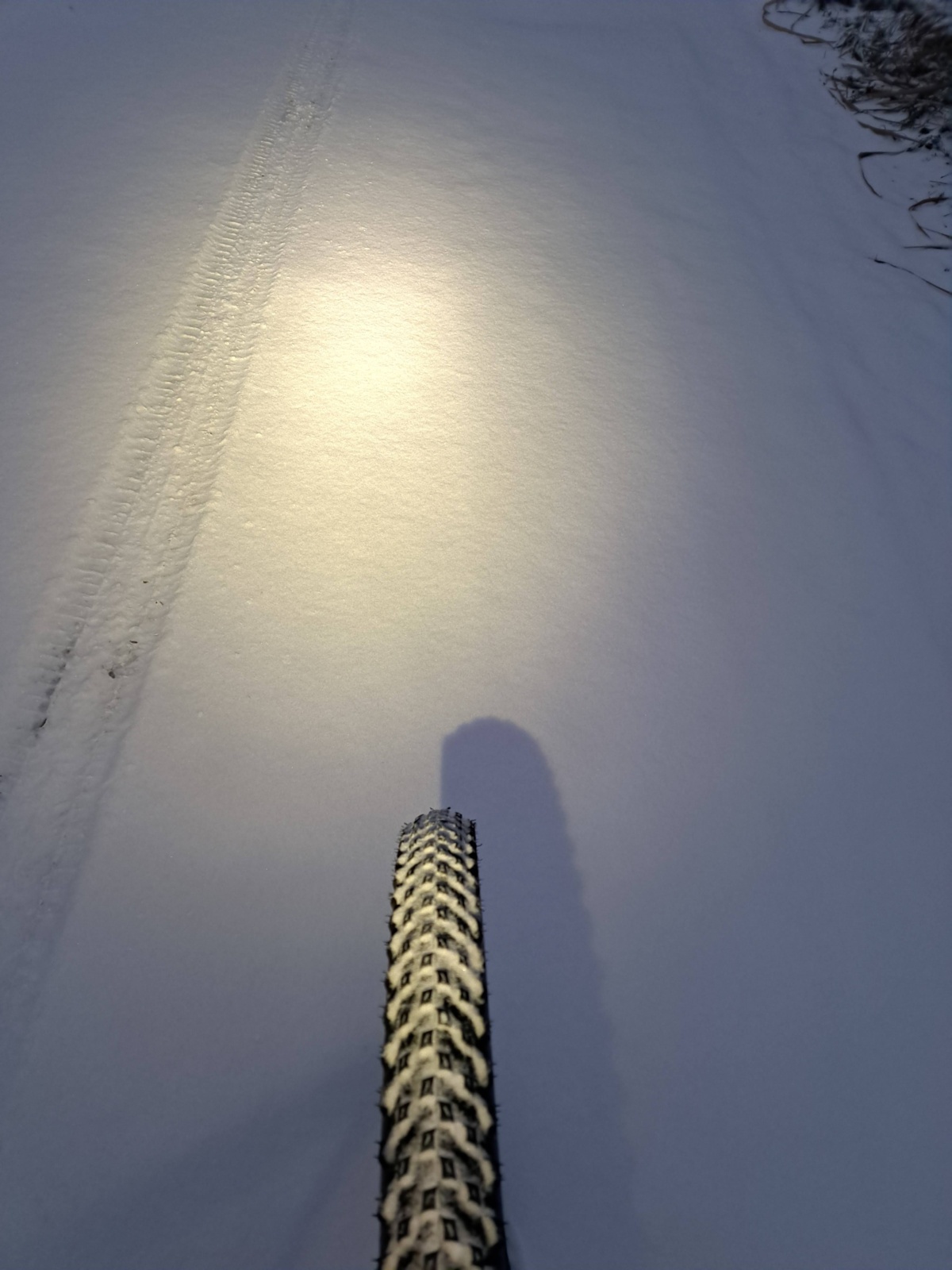 91c709d7-8897-4bc6-b3c8-4b77a391080b