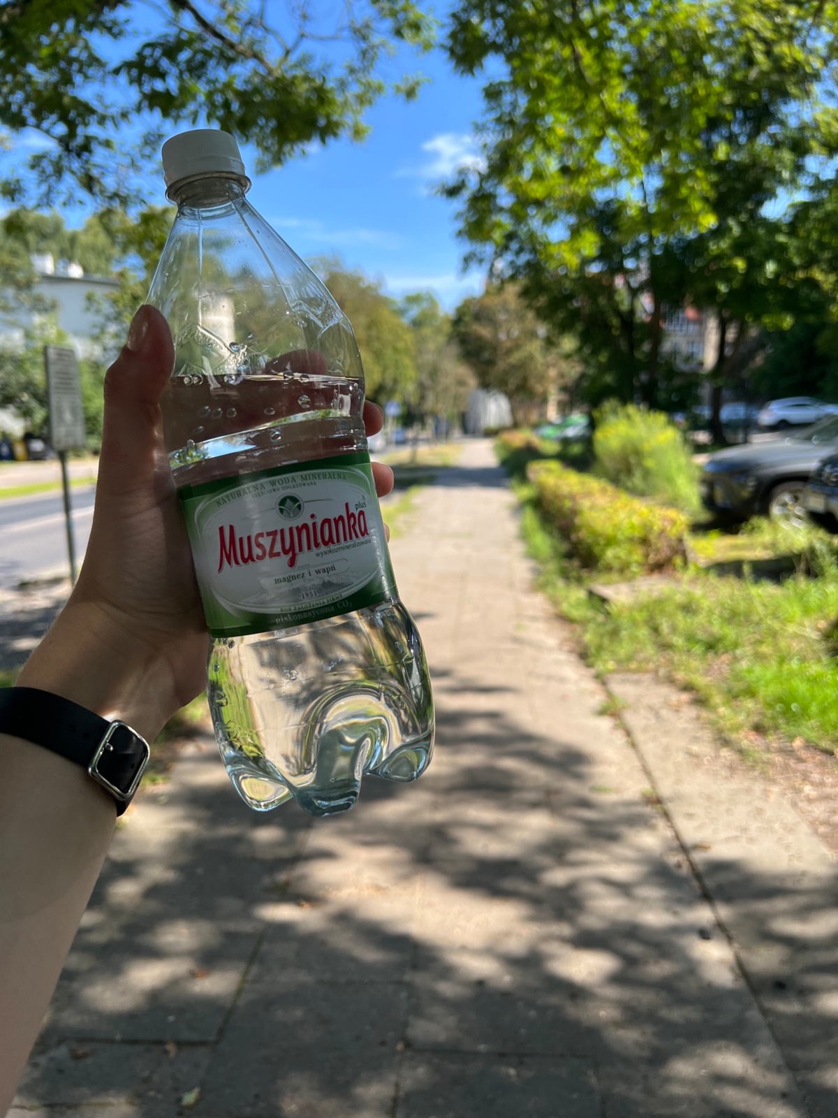 2592214a-37ad-4ecd-8d9b-d03aa7637262