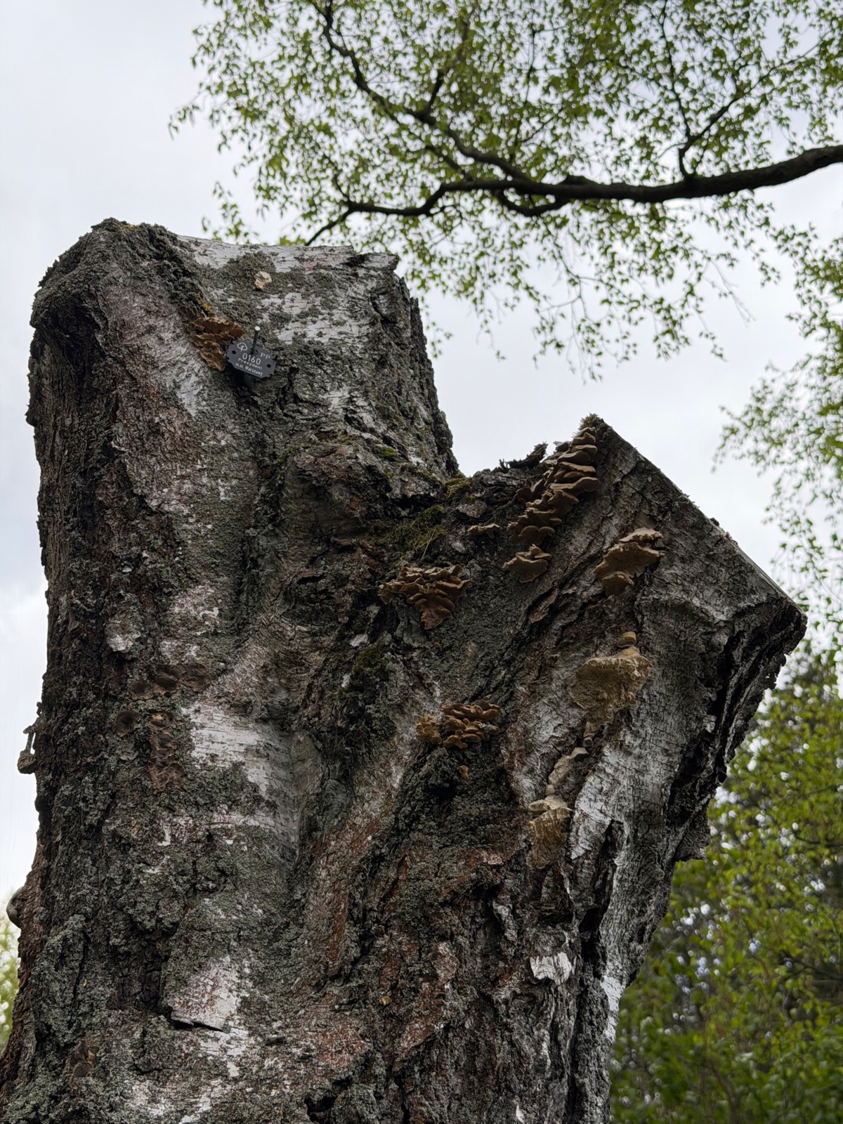 bd2c3b37-ef08-4485-b2fa-4dfc728c8553