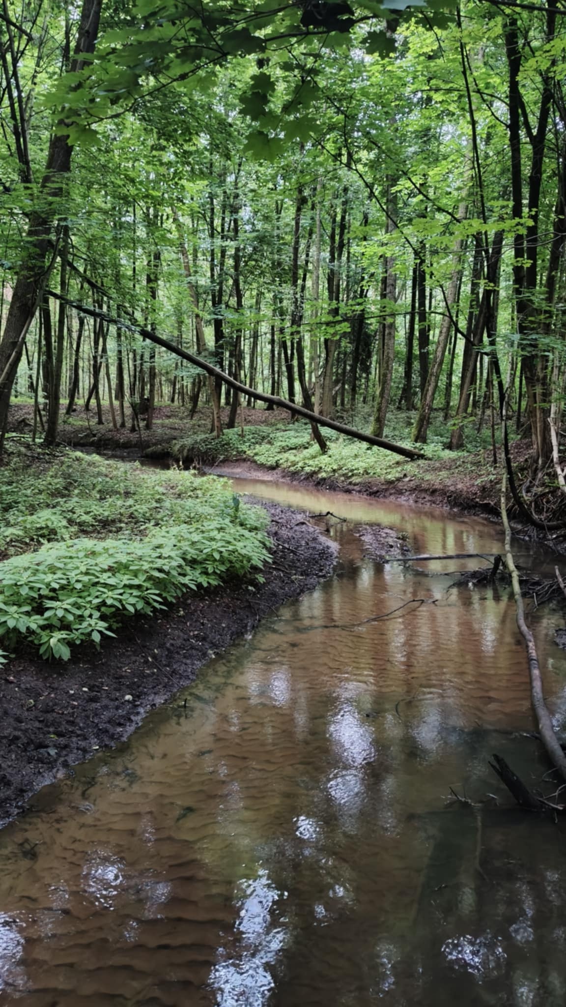 522b8504-6dc0-47e9-b106-67b63e8f42ae