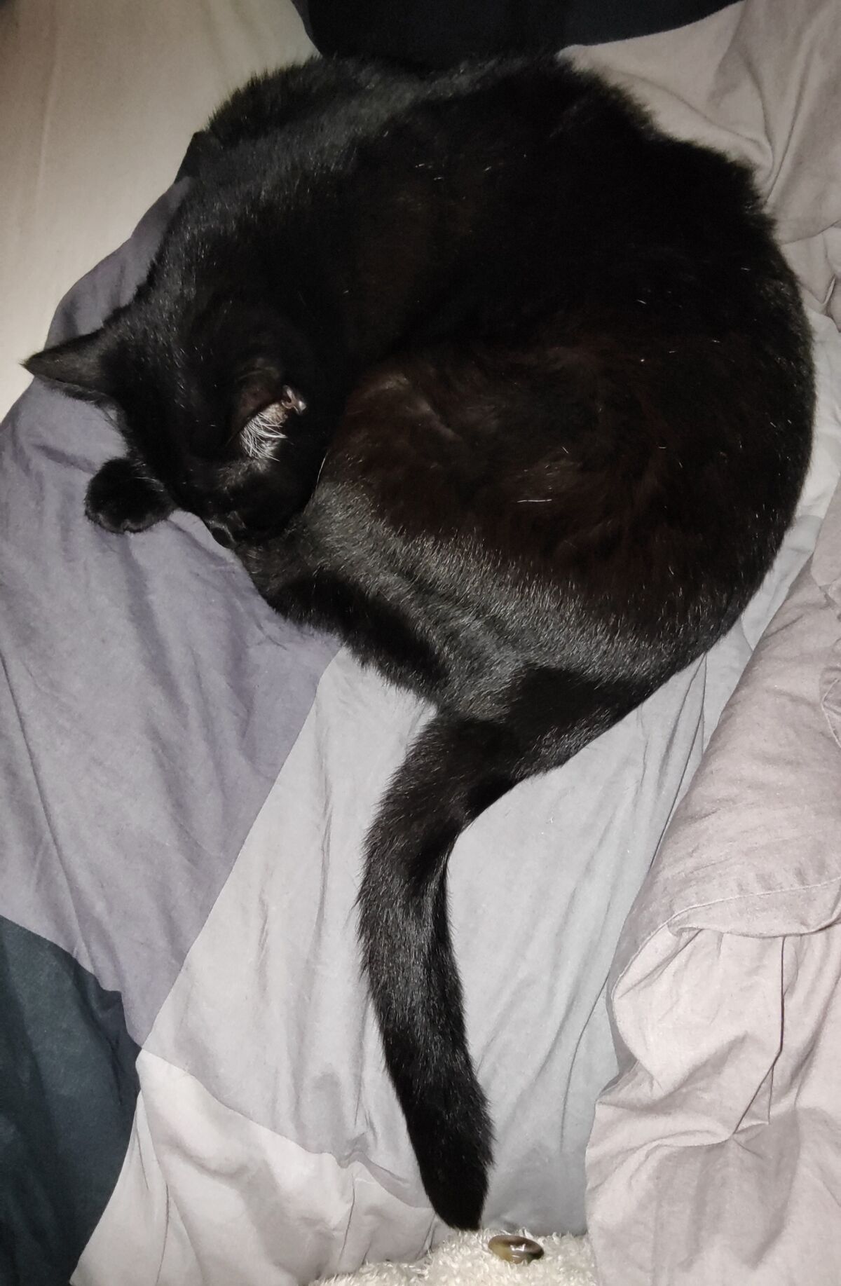 7ef892b9-d53a-4836-870a-4b4655af960c