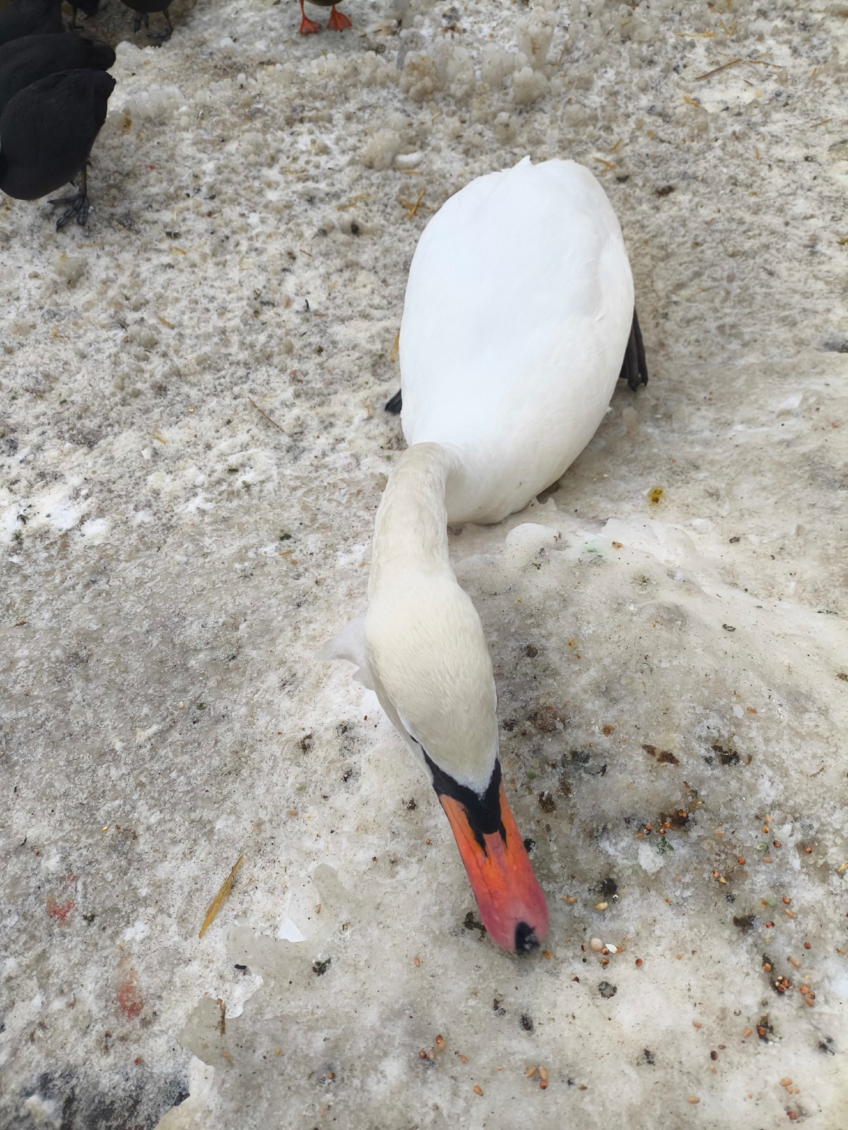 73d096d3-6c6c-44e4-b819-f20d0fe25b7b