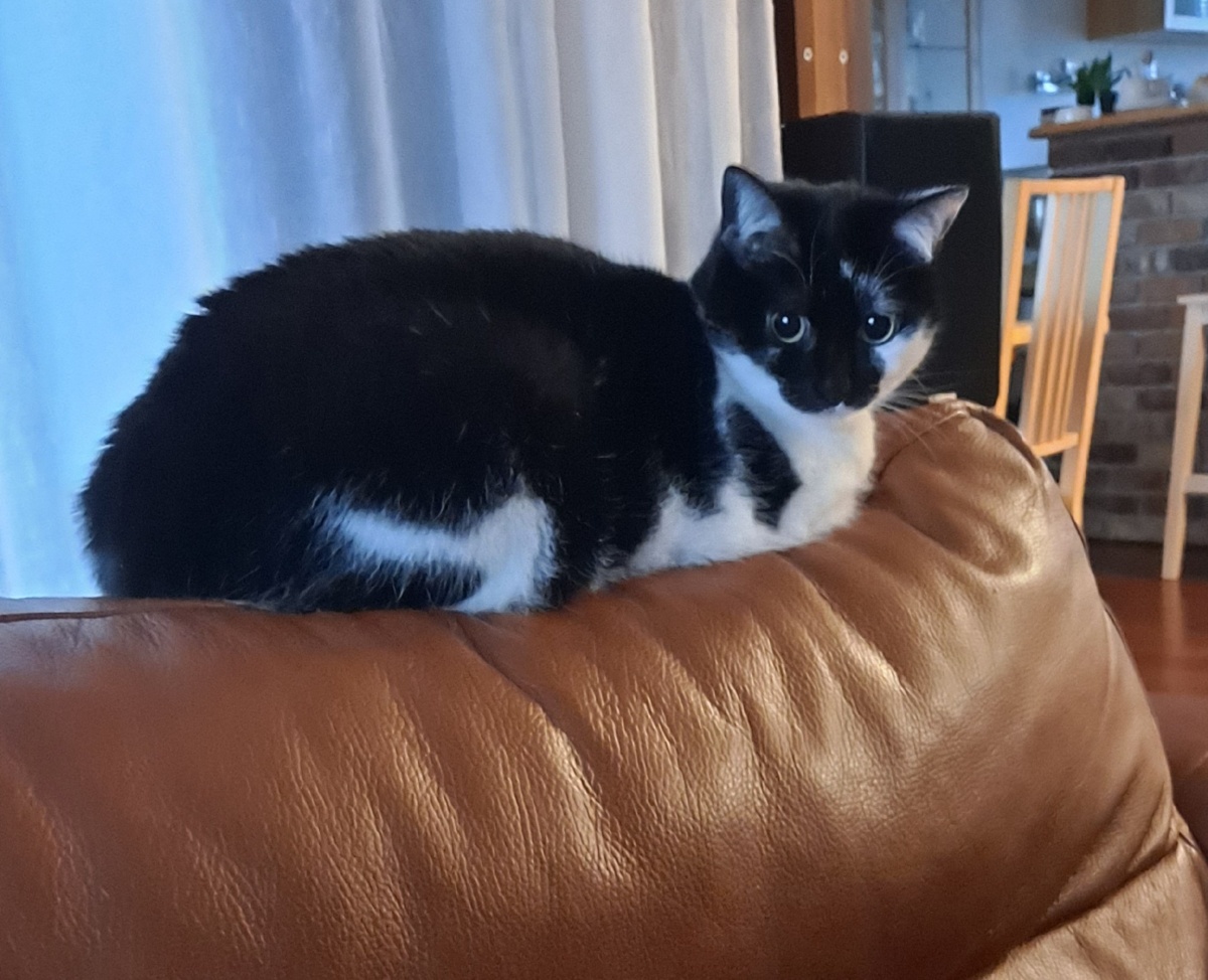 2b9415d9-3445-43a4-bae0-2c4e9ef0bed9