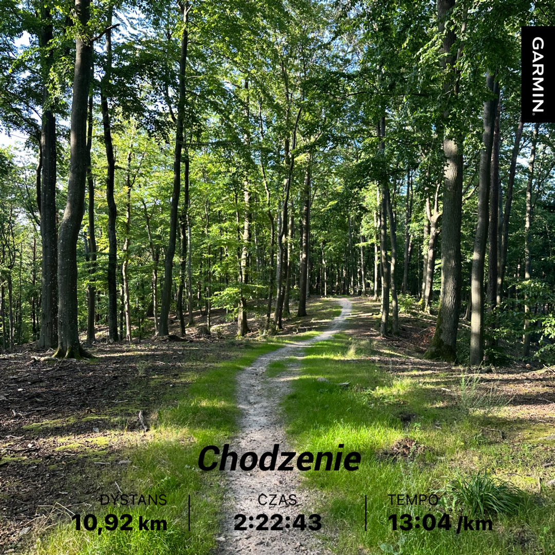 710cc5b8-dd80-4754-ab5c-141ae742eb54