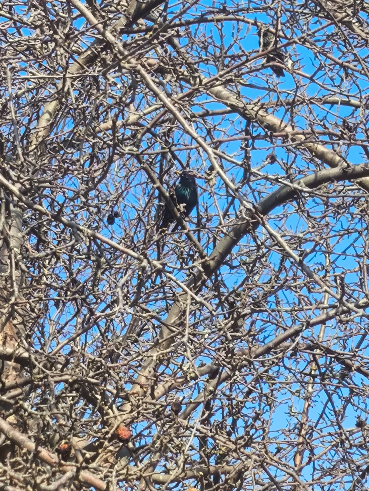 f6038da4-20a0-4f22-93cd-e4e50c057847