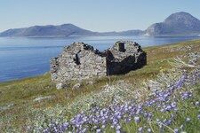 Zmiany klimatu w średniowieczu. Co wypędziło Wikingów z Grenlandii?