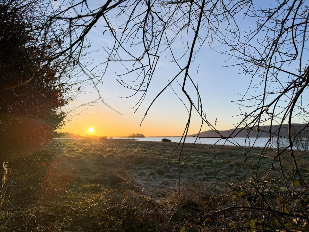 c4443f5d-9fdc-4741-9699-3cf083f3d4b1