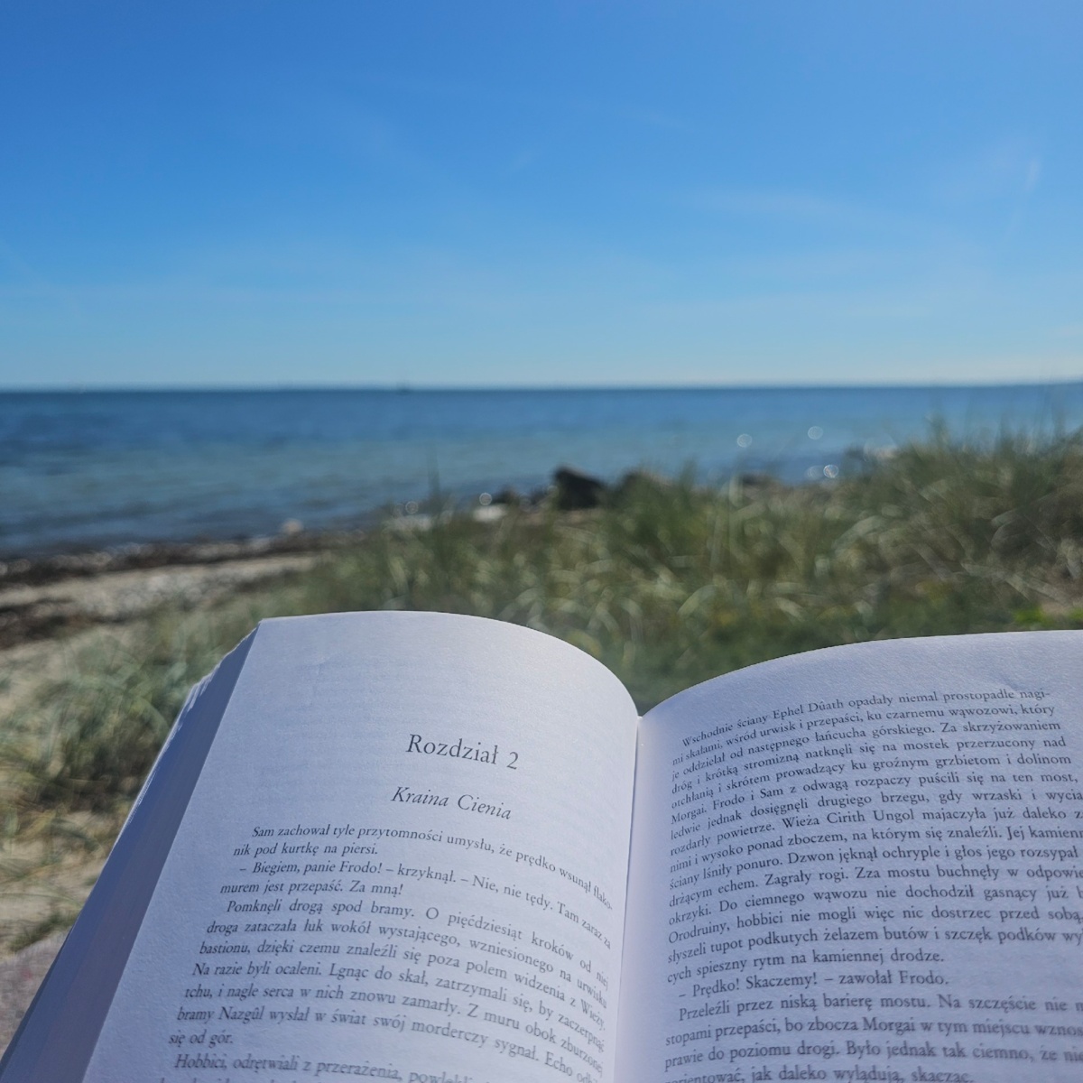 dfe8818f-9870-4ba8-b3fd-6211c8289d5d