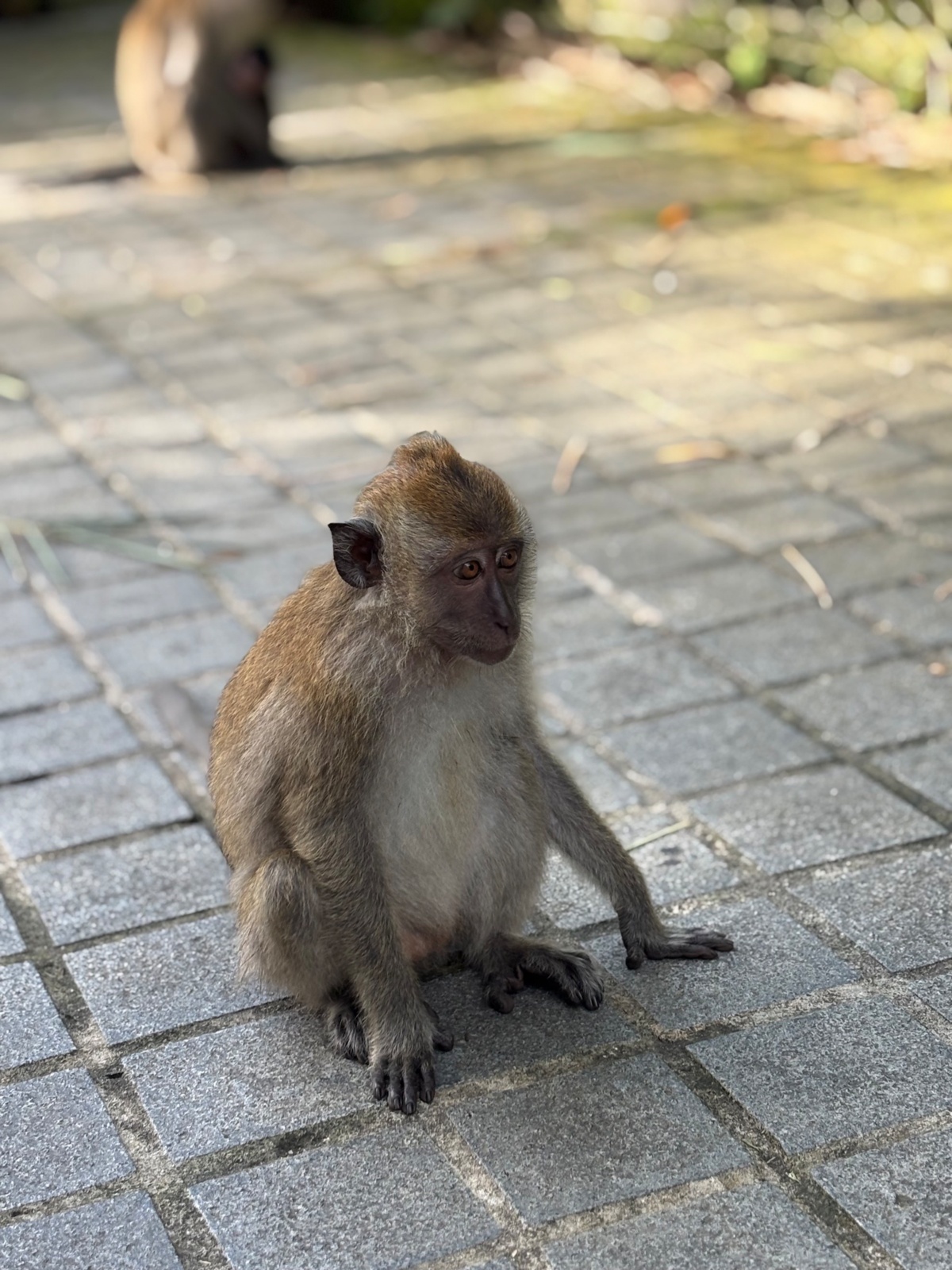 1205ff96-896b-4aef-b3f5-a538a53ca4d0